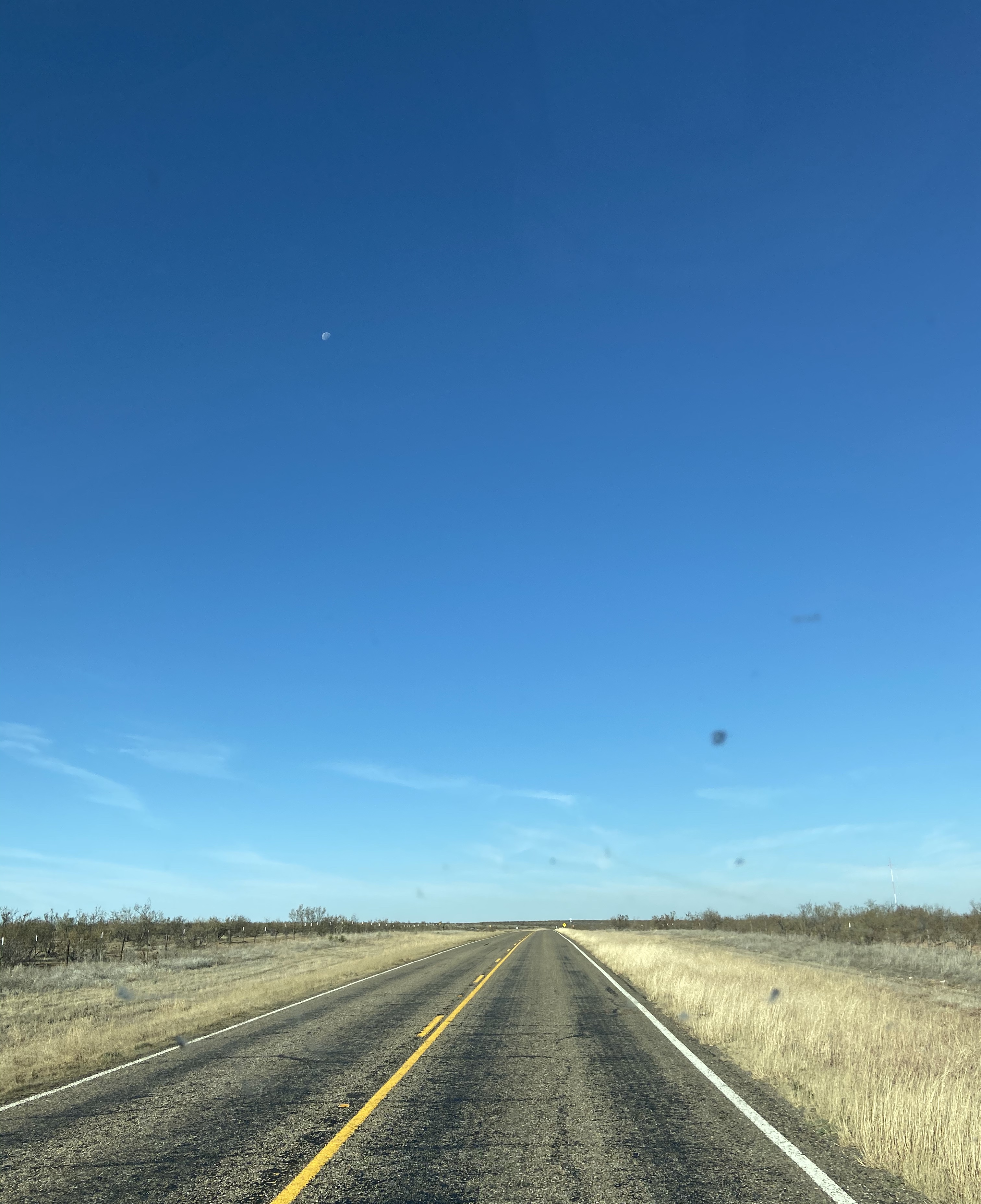 Moving during the Corona Virus.